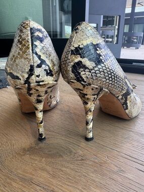 kate spade Snake-Print Pointed Toe Pumps in Cream, Black & Gold